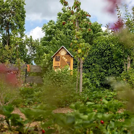 Overlook - 5 Sterne Am Edersee Im Kellerwald * Vöhl