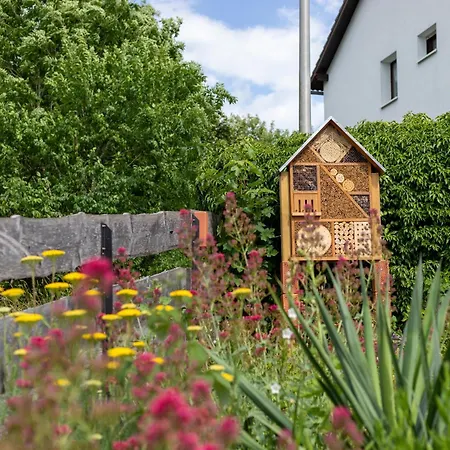 Overlook - 5 Sterne Am Edersee Im Kellerwald Nyaraló Vöhl