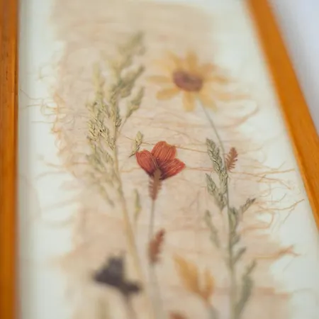 Overlook - 5 Sterne Am Edersee Im Kellerwald Nyaraló Vöhl