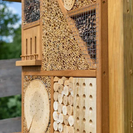 Overlook - 5 Sterne Am Edersee Im Kellerwald *