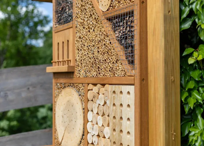 Overlook - 5 Sterne Am Edersee Im Kellerwald *